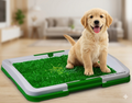Alfombra Absorbente para Perros (1 X 19.990 y 2 X 29.990)