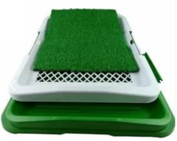 Alfombra Absorbente para Perros (1 X 19.990 y 2 X 29.990)